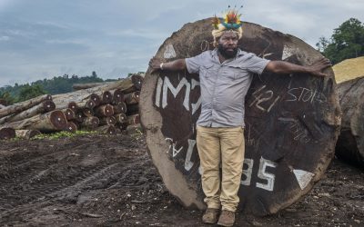 Frères des arbres : un appel à sauver les forêts primaires